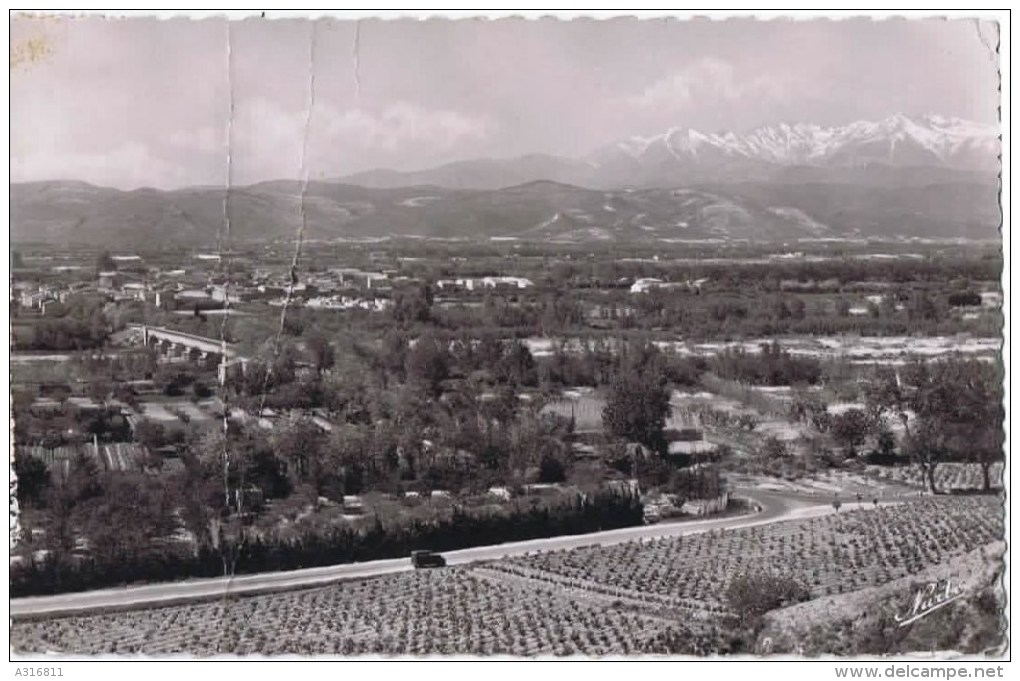 Cpsm  MILLAS VUE GENERALE ET LE CANIGOU - Millas