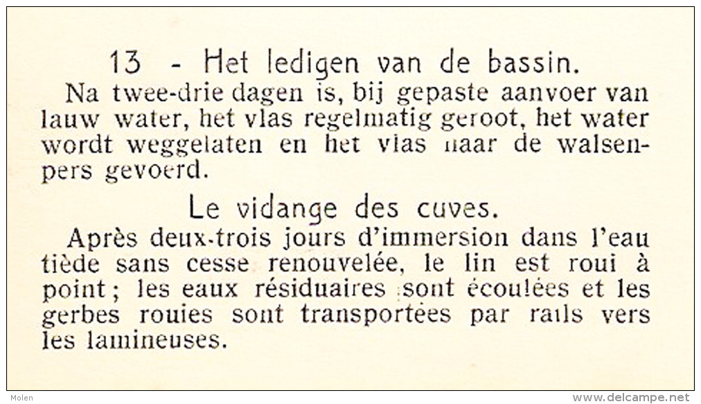 VLASTEELT LEDIGEN BASSIN VLAS VIDANGE DES CUVES VANSTEENKISTE WEVELGEM CULTURE DU LIN FLAX LEIN PAYSAN BOER LINO    2630 - Wevelgem