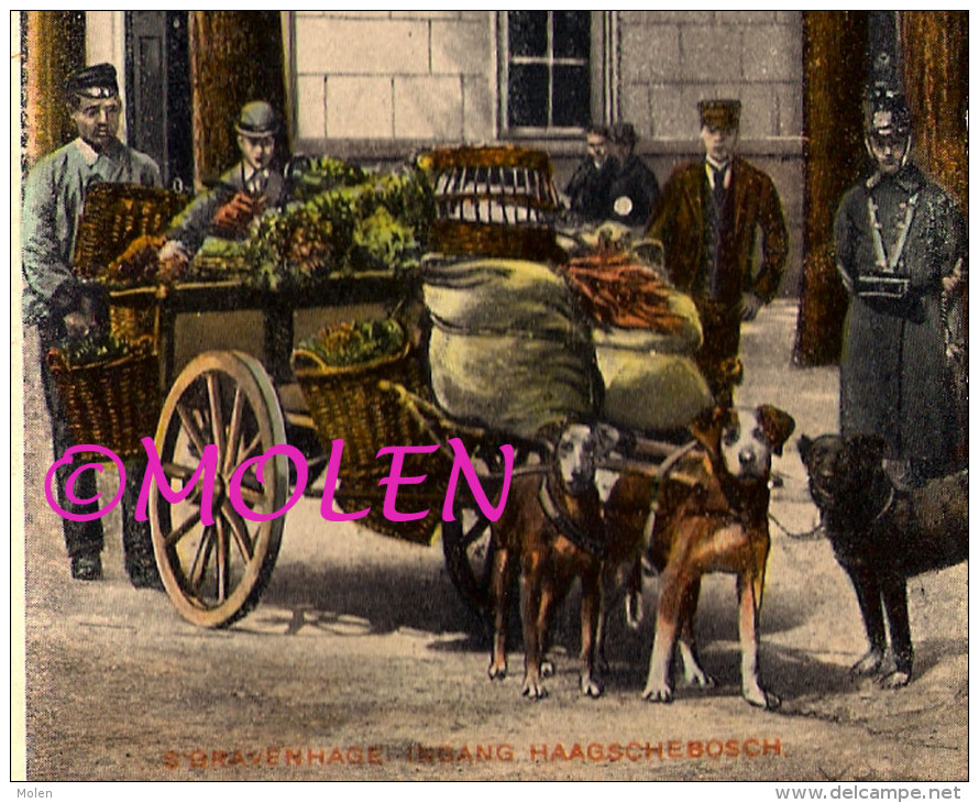 HONDENKAR ‘S GRAVENHAGE DEN HAAG ATTELAGE DE CHIEN LEGUMES VOITURE A CHIENS DOG DRAWN CART MARCHE POLITIE POLICE 2976 - Spannen