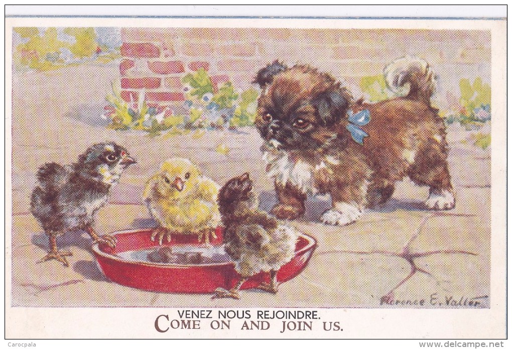 Carte 1915 Illustrateur Anglais : Signée Florence E . Valter :chien ,canard,poussin - Valter, Fl. E.