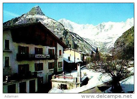 Courmayeur       H798       Hotel La Pigne ( Voir Timbre ) - Other & Unclassified