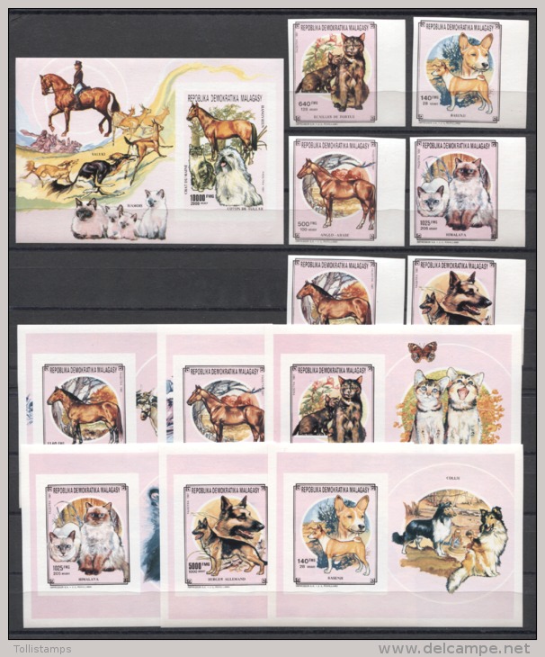 Malagasy Cats Dogs Horses Chiens Perros Gatos 1991 IMP. ( Margins ) MNH - Dogs