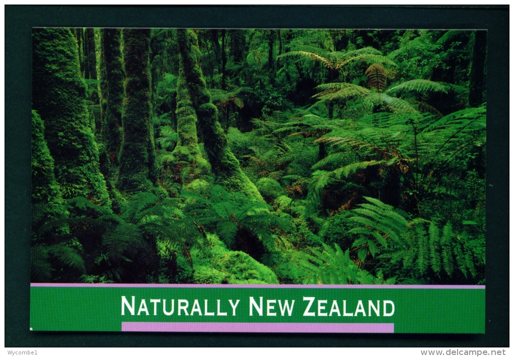 NEW ZEALAND  -  Fjordland  Rain Forest  Unused Postcard - Nouvelle-Zélande