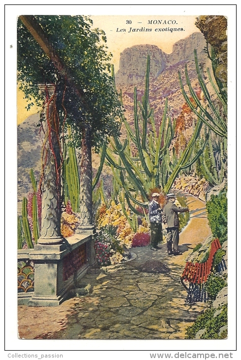 Cp, Monaco, Les Jardins Exotiques - Giardino Esotico