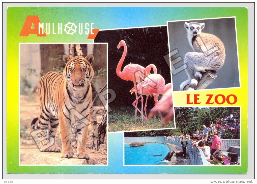 Mulhouse (68) - Parc Zoologique Et Botanique - Quelques Vues - Photo Sirp Et N. L´Hostis (JS) - Autres & Non Classés