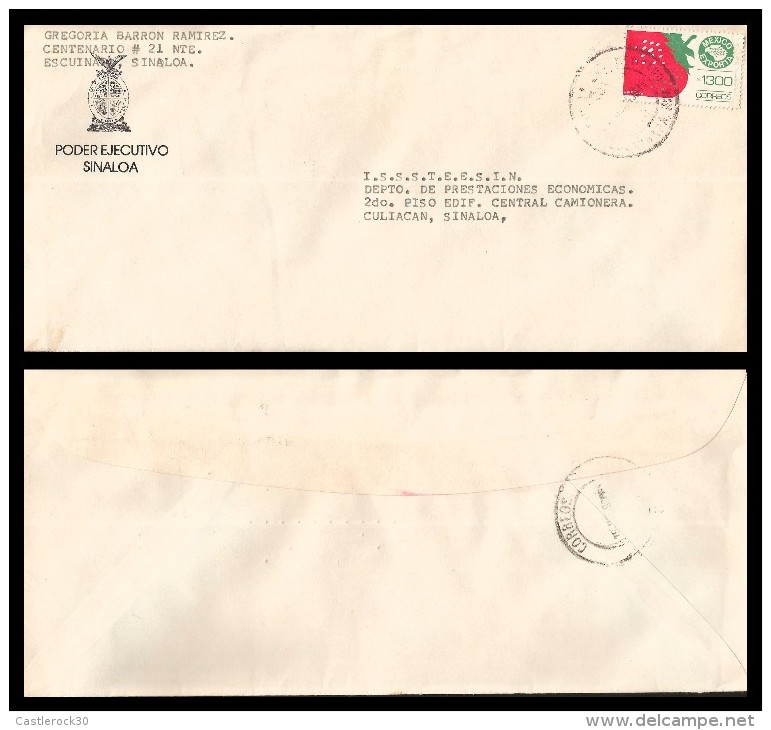 E)1993 MEXICO, MEXICO EXPORTA,  STRAWBERRIES, CIRCULATED COVER FROM ESCUINAPA TO CULIACAN-SINALOA, INTERNAL USAGE,  XF - Mexico