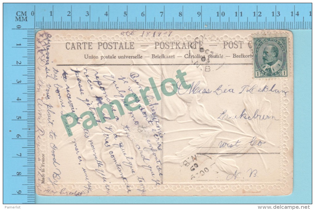 Friendship Flowers  ( Cover Fox Creek  1909 N.B. On A #89 Stamp)  2 Scans - Cartas & Documentos