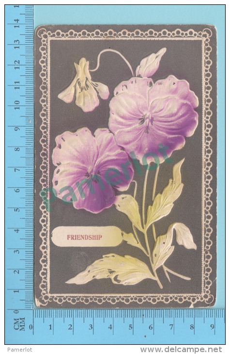 Friendship Flowers  ( Cover Fox Creek  1909 N.B. On A #89 Stamp)  2 Scans - Covers & Documents