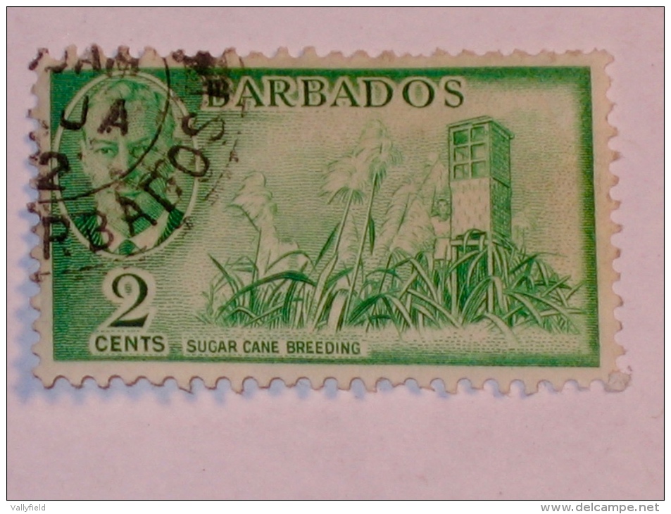 BARBADES / BARBADOS   1950  SCOTT #217 - Barbades (1966-...)