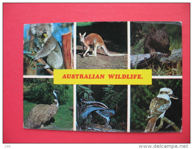 AUSTRALIAN WILDLIFE:Koala,Red Kangaroo,Emu,Lyrebird,Kookaburra - Outback