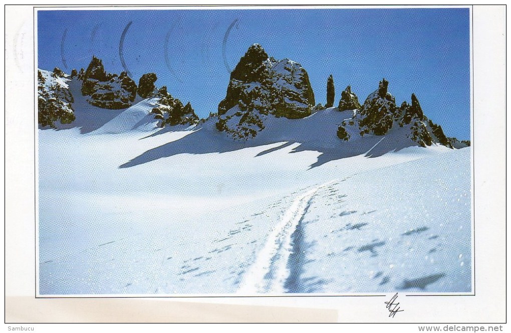 Galtür - Silvretta Totennadeln Im Jamtal 1990 - Galtür