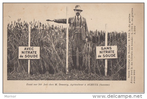 ACHEUX SOMME  80 Agriculture Nitrate De Soude Blé - Acheux En Amienois