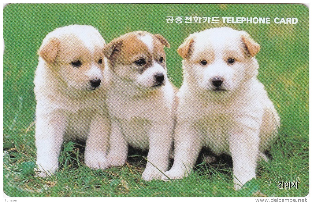 Korea, MO9807127, Dogs, Puppy, 2 Scans. - Corée Du Sud