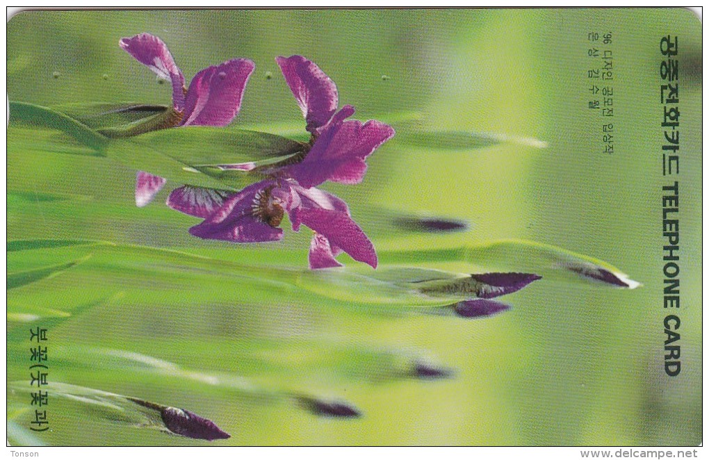 Korea, MO9704109, Flowers, Iris, 2 Scans. - Corea Del Sud