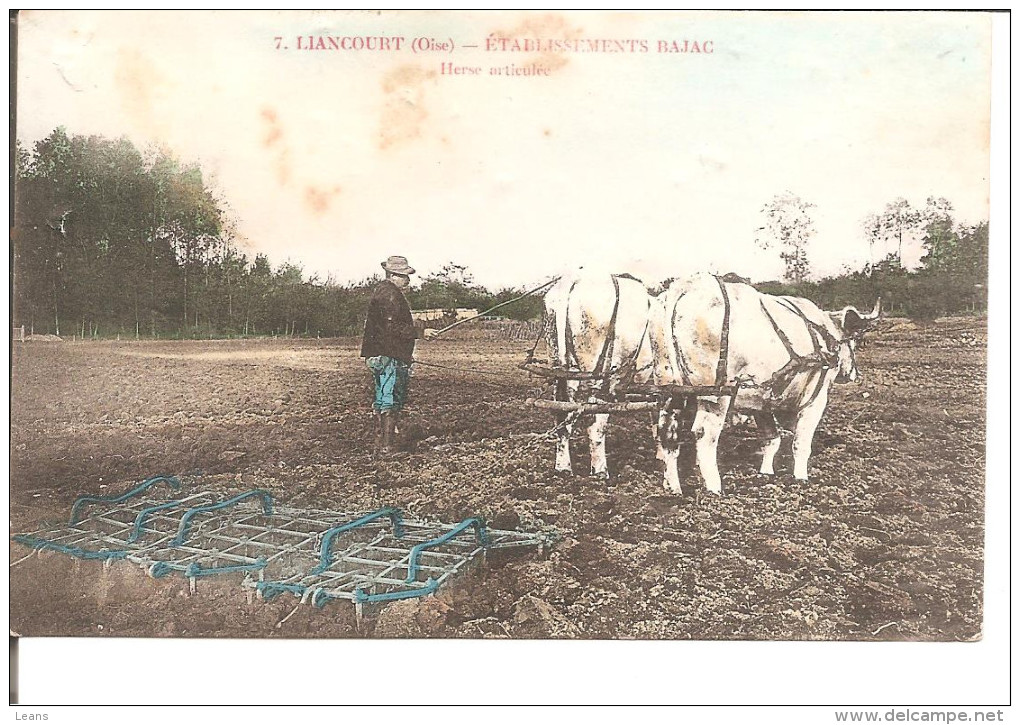 LIANCOURT   ETS BAJAC   Herse Articulée  Attelage De Boeufs    + QU ETAT !! - Teams