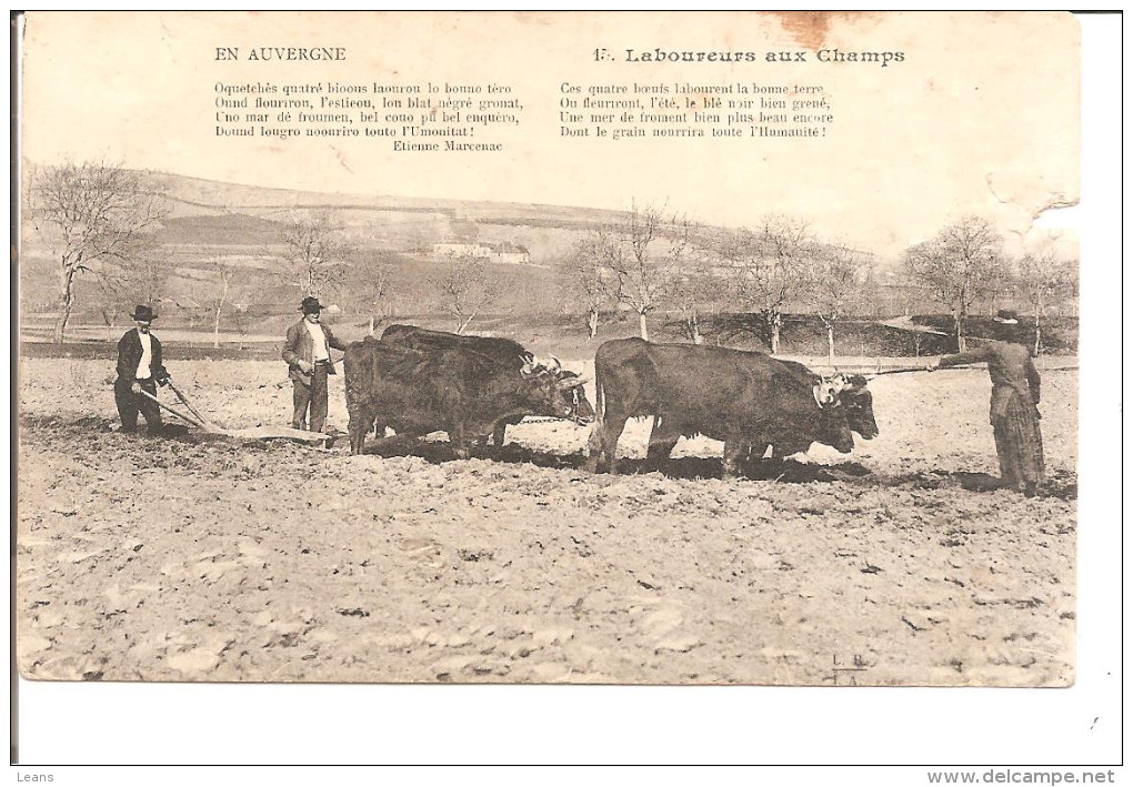 LABOUREURS AUX CHAMPS    DOUBLE ATTELAGE DE BOEUFS NOIR - Attelages