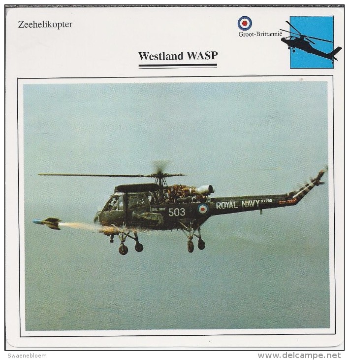 Helikopter.- Westland WASP - Groot-Brittannië. Engeland. 2 Scans - Hubschrauber