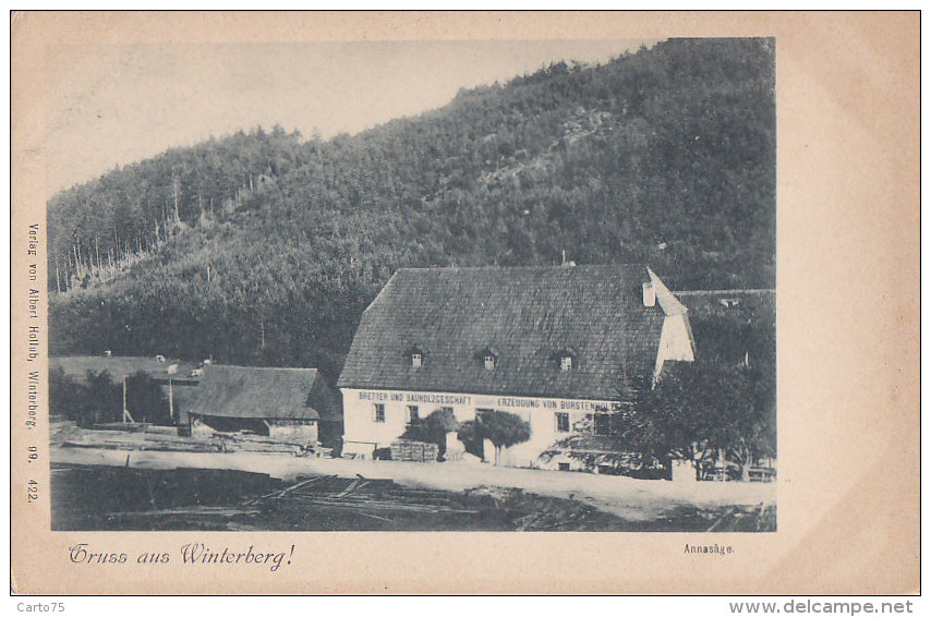 Allemagne - Gruss Aus Winterberg - Annasäge - Scierie Bois - Arnsberg