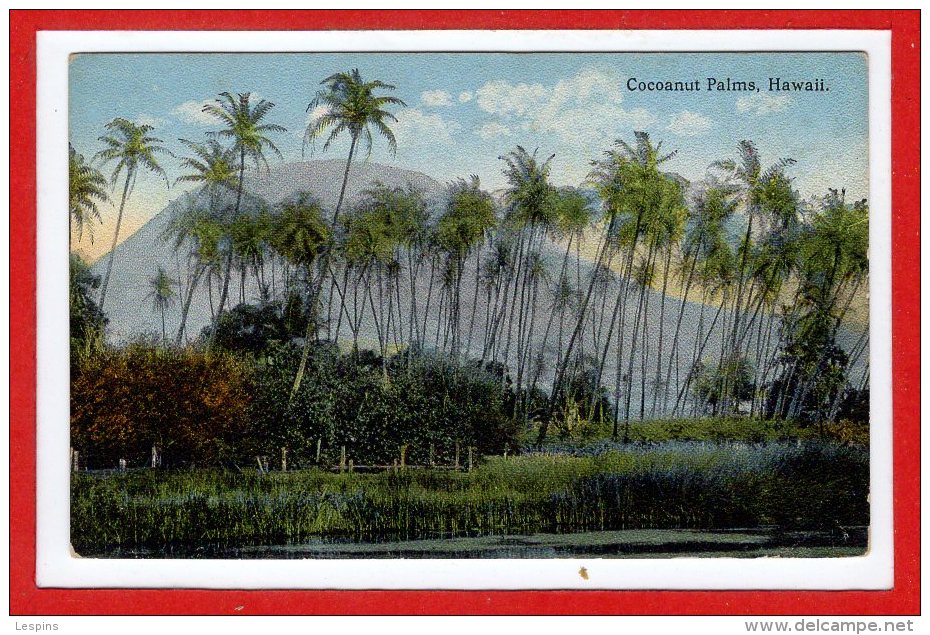 Amerique - ETATS UNIS --  Cocoanut Palms HAWAII - Other & Unclassified