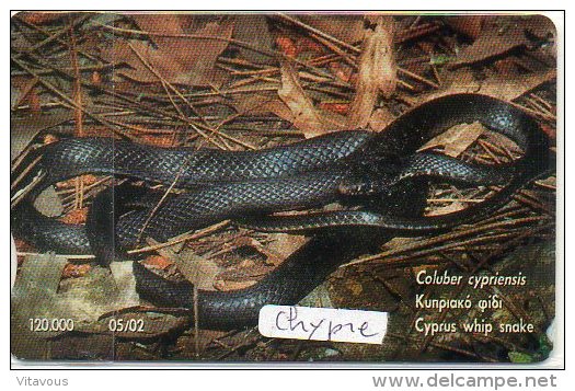 Serpent  Reptile Snake Animal Télécarte Phonecard  Chypre  J179 - Chypre