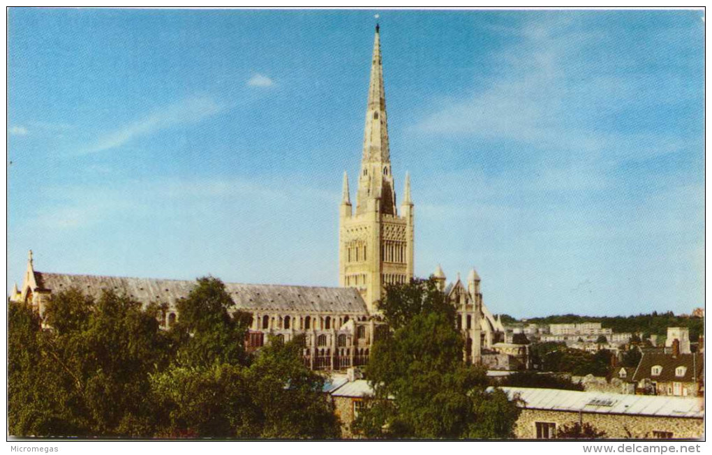 Norwich Cathedral - Norwich