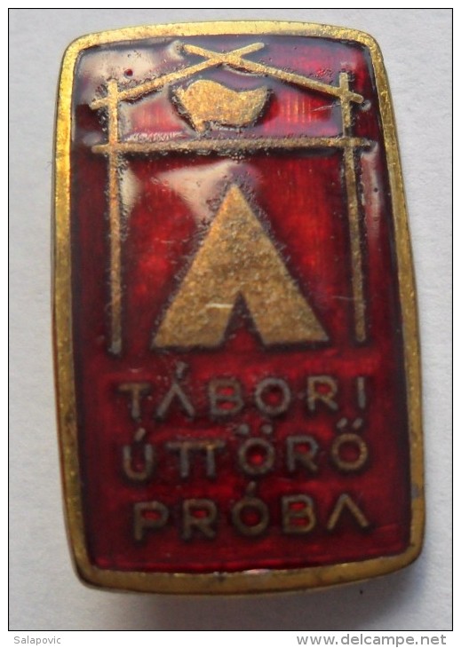 Tábori úttör&#337; Próba  PINS BADGES  P1 - Associations