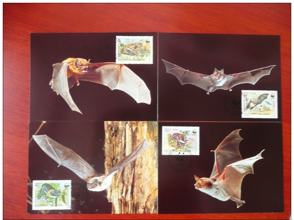 WWF Bulgaria Bulgarie Bulgarien Chauve-souris Bats Fledermäuse 1989 CM MK MC Maxi Maximum Cards Maxicard Maximumkarte - Maximum Cards