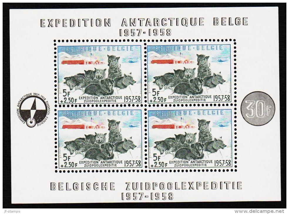 1957. BELGISCHE ZUIDPOOLEXPEDITIE 1957-1958. BLOCK.  (Michel: BLOCK 25) - JF193051 - 1924-1960