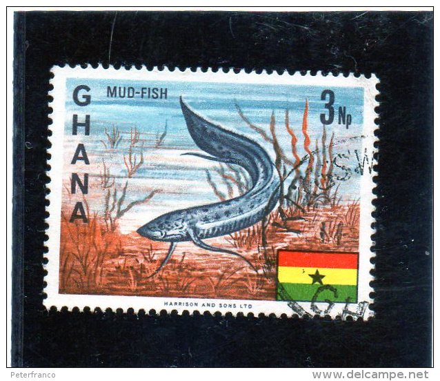 1967 Ghana - Mud-fish - Fishes