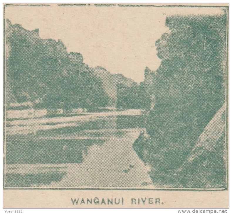 Nouvelle-Zélande 1900. Entier Postal, Wanganui River, Fleuve Whanganui, Entre Montagnes & Volcans. Oblitération Wanganui - Volcans