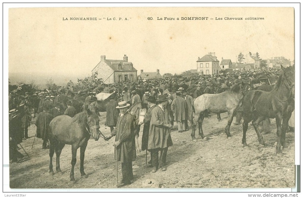 DOMFRONT  La Foire à DOMFRONT - Les Chevaux Solitaires - Domfront