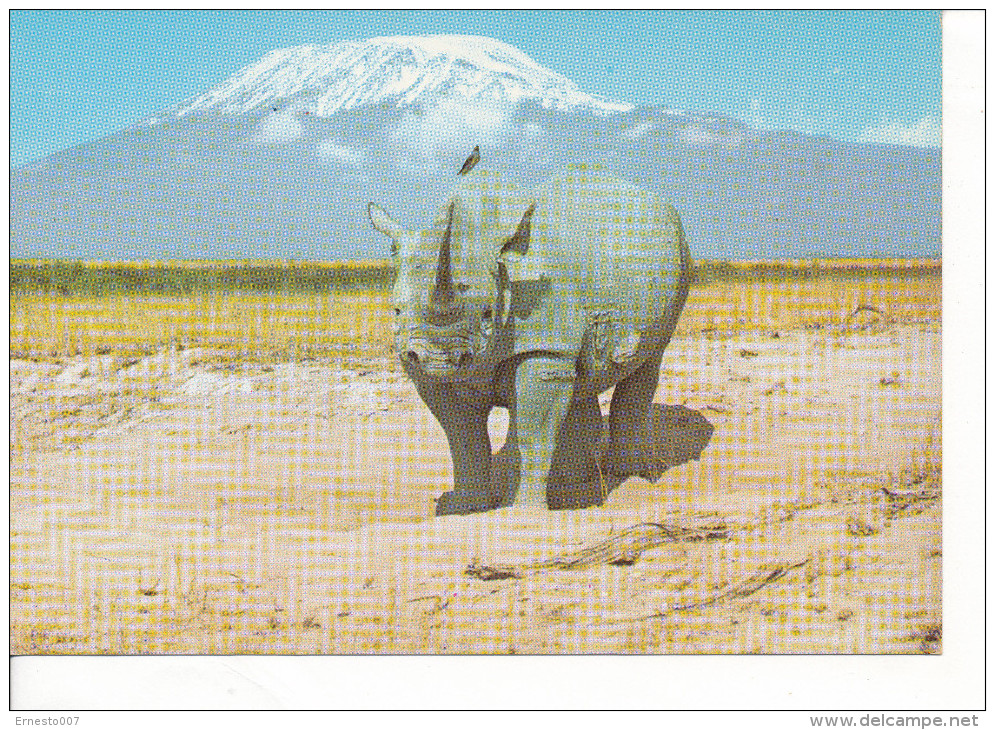 PK-CP Rhinozeronte, Ungebraucht, Siehe Bilder!*) - Rhinocéros