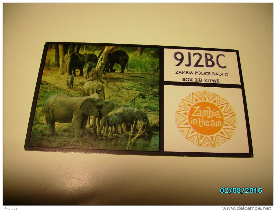 QSL RADIO CARD , ZAMBIA  POLICE RADIO , ELEPHANT , O - Zambie