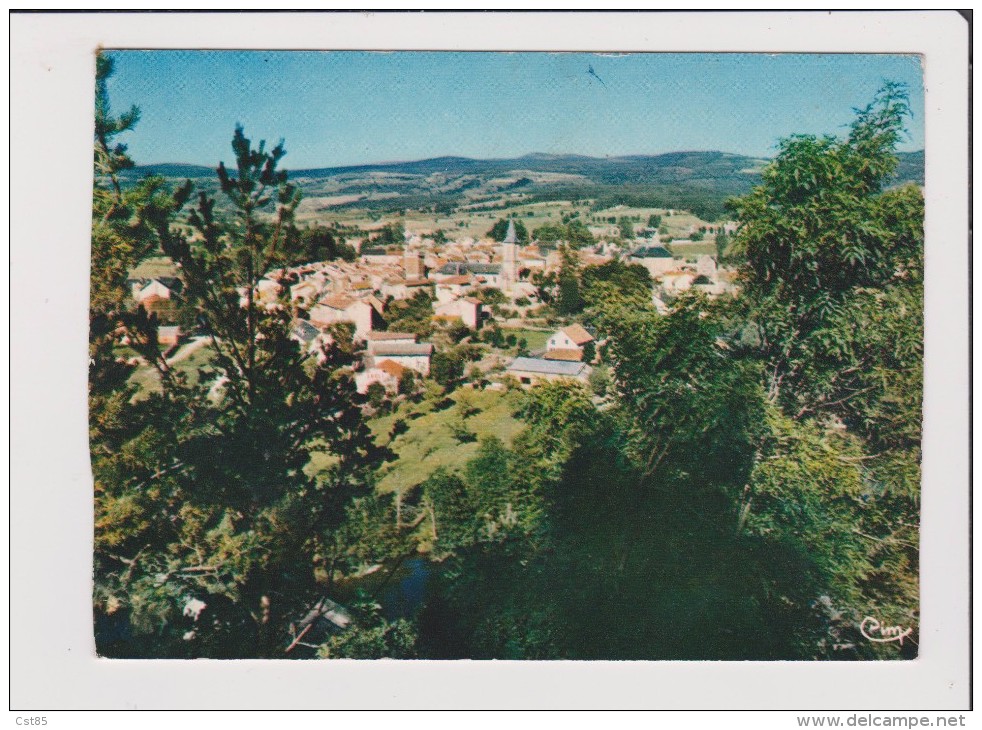 CPM - LE MALZIEU VILLE - Centre Touristique Le Plus Réputé De Gévaudan - Repos Peche Camping - Autres & Non Classés