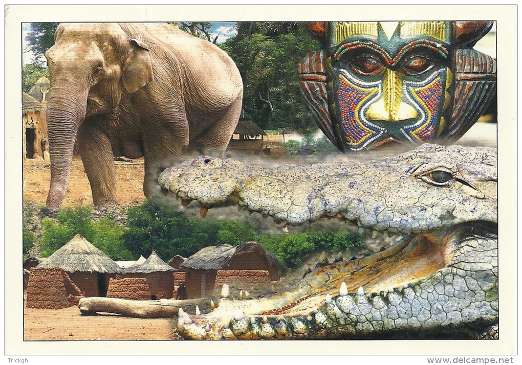 Eléphant Olifant Elephant / Crocodile Krokodil / Benin - Éléphants