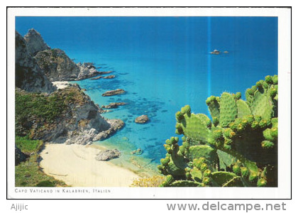 Cactus Du Cap Vaticano (Calabria), Carte Postale Circulée Avec Bel Affranchissement Au Verso, Adressée En Andorre - Cactusses