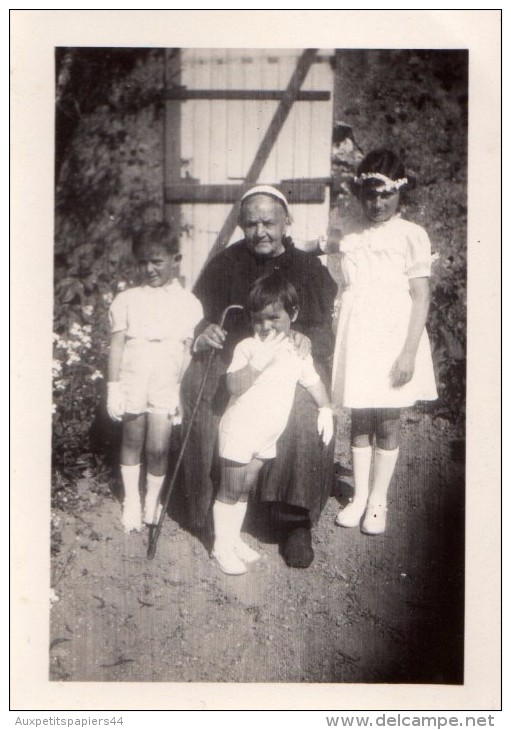 Photo Originale Famille - Arrière-Grand-Mère Et Sa Coiffe , Communiante Et Petits Fils - Personnes Anonymes