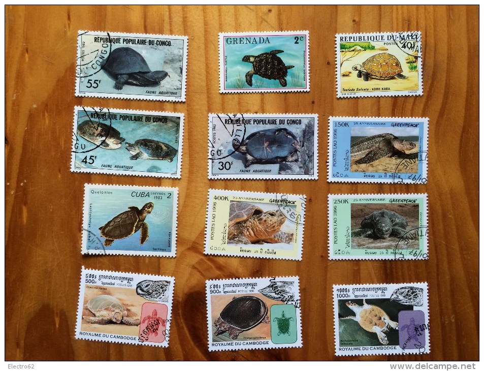 Lots De Timbres Tortues/turtle - Tortues