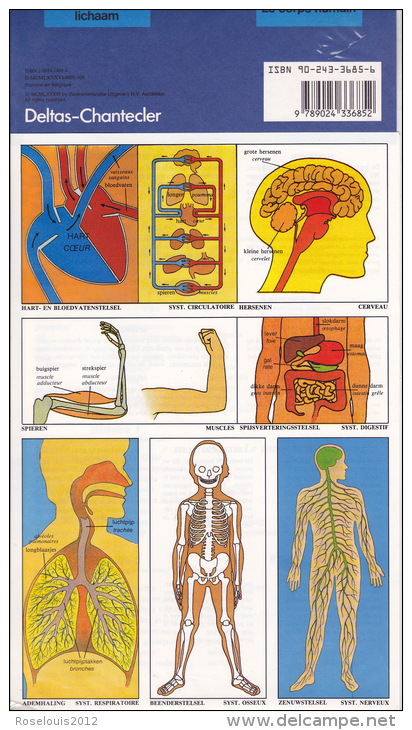 LE CORPS HUMAIN - Documentation Scolaire - Deltas Chantecler - 1986 - Neuf Sous Célophane - Autres & Non Classés