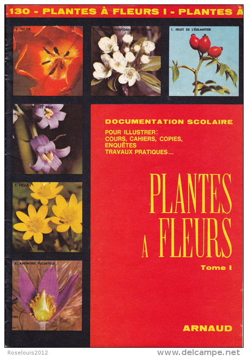 Documentation Scolaire - 1979 - Plantes à Fleurs - éditions ARNAUD - Animaux