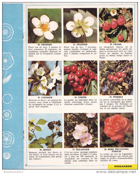 Documentation Scolaire - 1979 - Plantes à Fleurs - éditions ARNAUD - Animaux