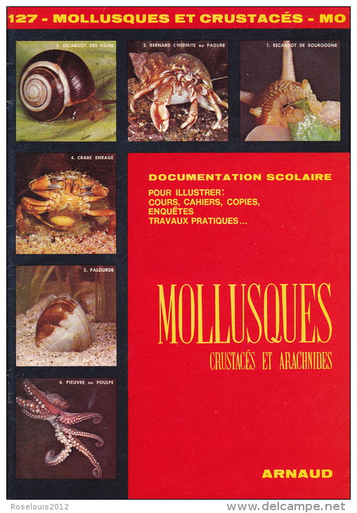 Documentation Scolaire - 1979 - Mollusques, Crustacés Et Arachnides - éditions ARNAUD - Animaux