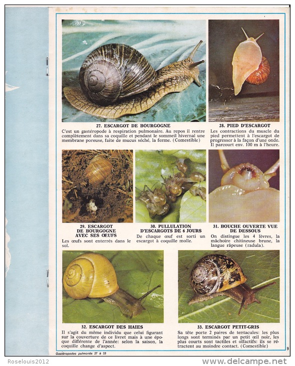 Documentation Scolaire - 1979 - Mollusques, Crustacés Et Arachnides - éditions ARNAUD - Animaux