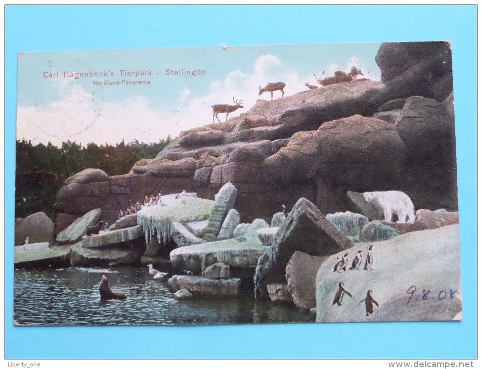 Carl Hagenbeck's TIERPARK - Stellingen ( Kumm N° 103 ) Anno 1908 ( Zie Foto´s Voor Detail ) ! - Stellingen