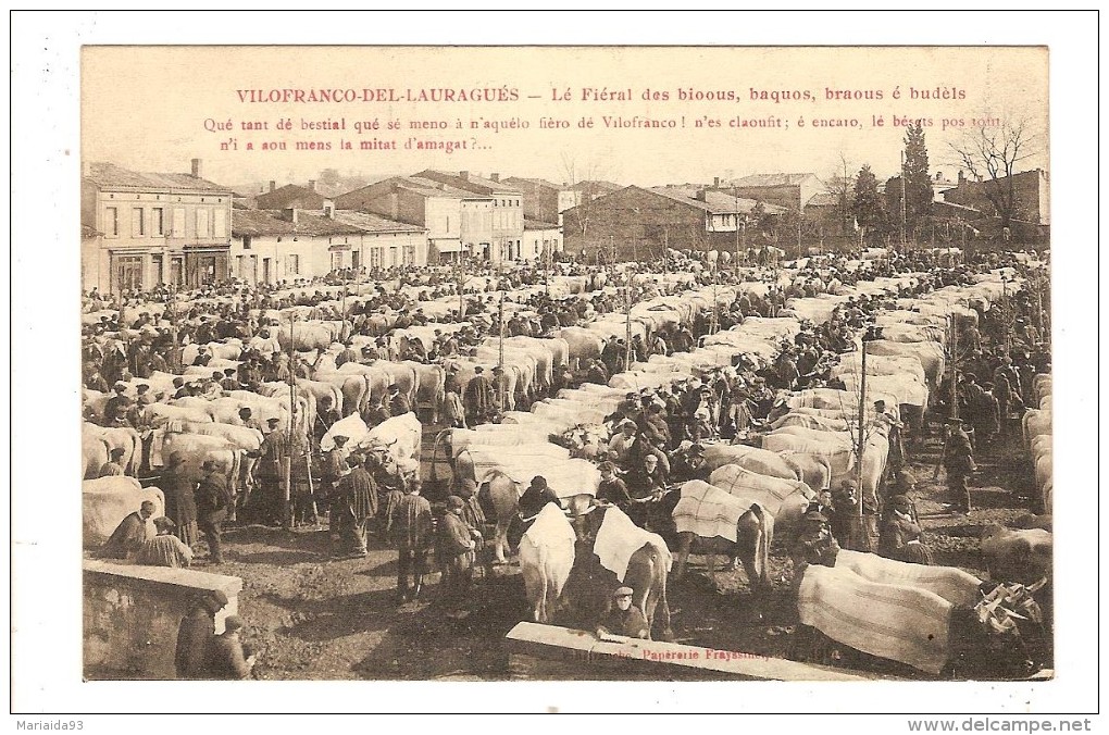 VILLEFRANCHE DU LAURAGAIS - HAUTE GARONNE - LE FIERAL DES BIOOUS - MARCHE AUX BOEUFS - Autres & Non Classés