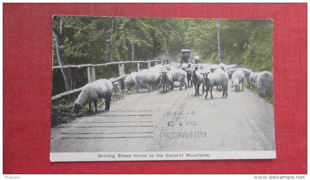 - New York> Catskills   Driving Sheep Home In The Catskill Mountains    ======== ======== 79 - Catskills