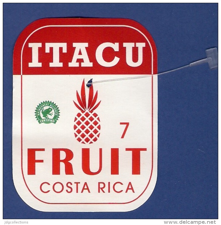 # PINEAPPLE ITACU Round Edges Calibre 7 Fruit Tag Balise Etiqueta Anhanger Ananas Pina Costa Rica - Fruits & Vegetables