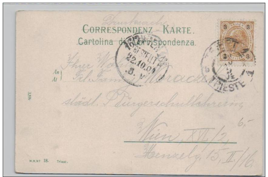 Triest  - Karte ~100 Jahre Alt   (k  889  ) Siehe Scan - Autres & Non Classés