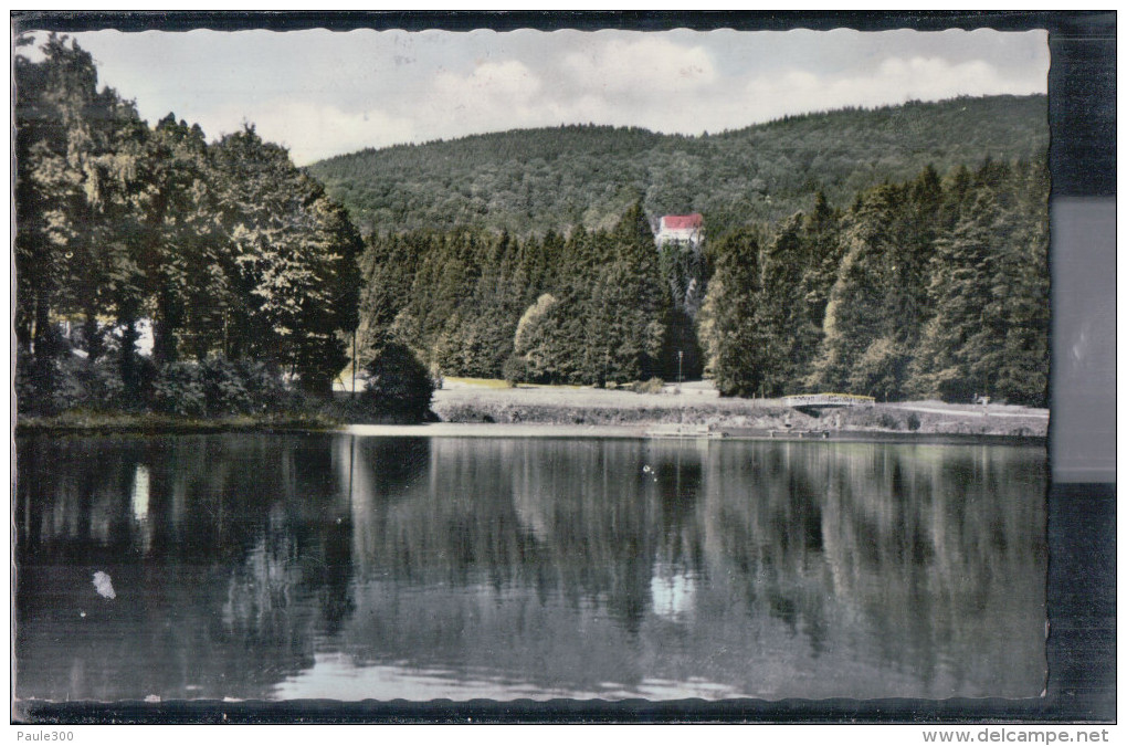 Bad Sachsa - Schmelzteich Mit Berghotel Zum Katzenstein - Südharz - Bad Sachsa