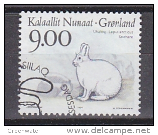 Greenland 1994 Polar Fauna  1v Used (27062D) - Gebruikt